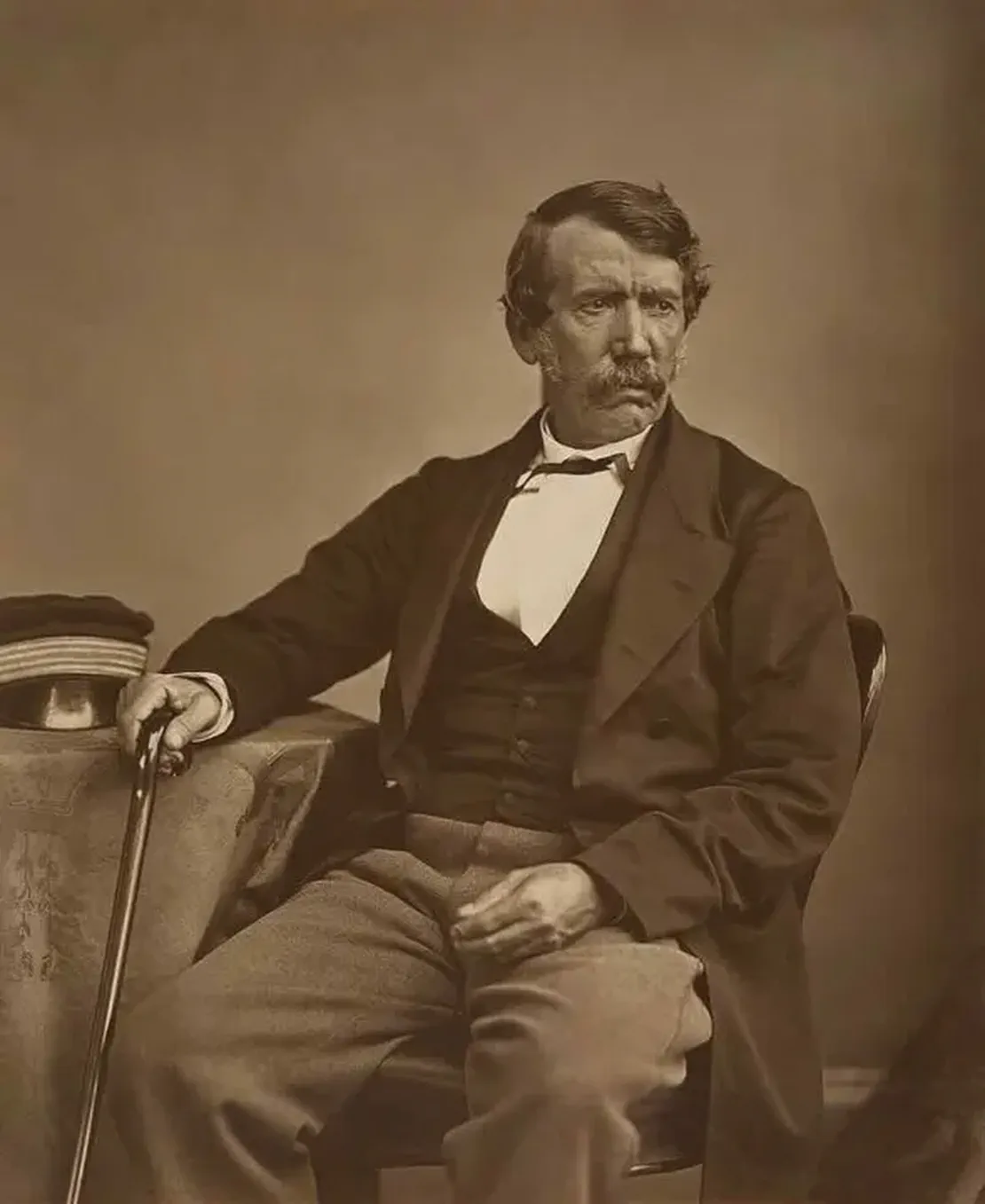 David Livingstone reached Victoria Falls in Africa